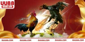 da-ga-dao-uu88-tran-giao-tranh-kich-tinh-va-hiem-hoc