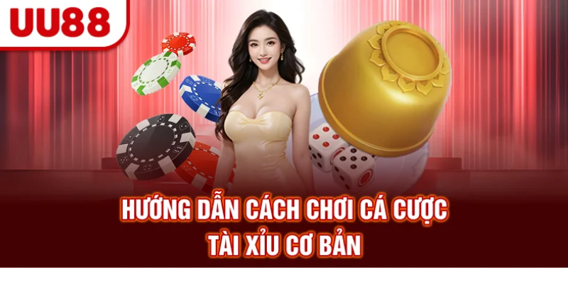 Hướng dẫn cách chơi cá cược tài xỉu cơ bản